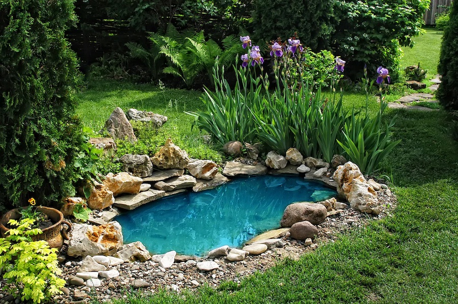 Simple and Stunning: DIY Garden Pond Ideas for Your Backyard hero image