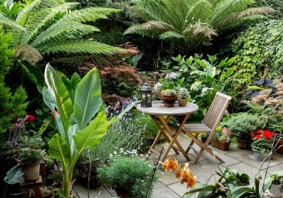 10 Creative Garden Design Ideas to Transform Your Outdoor Space blog image